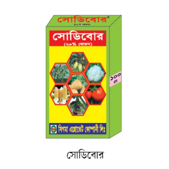 সোডিবোর